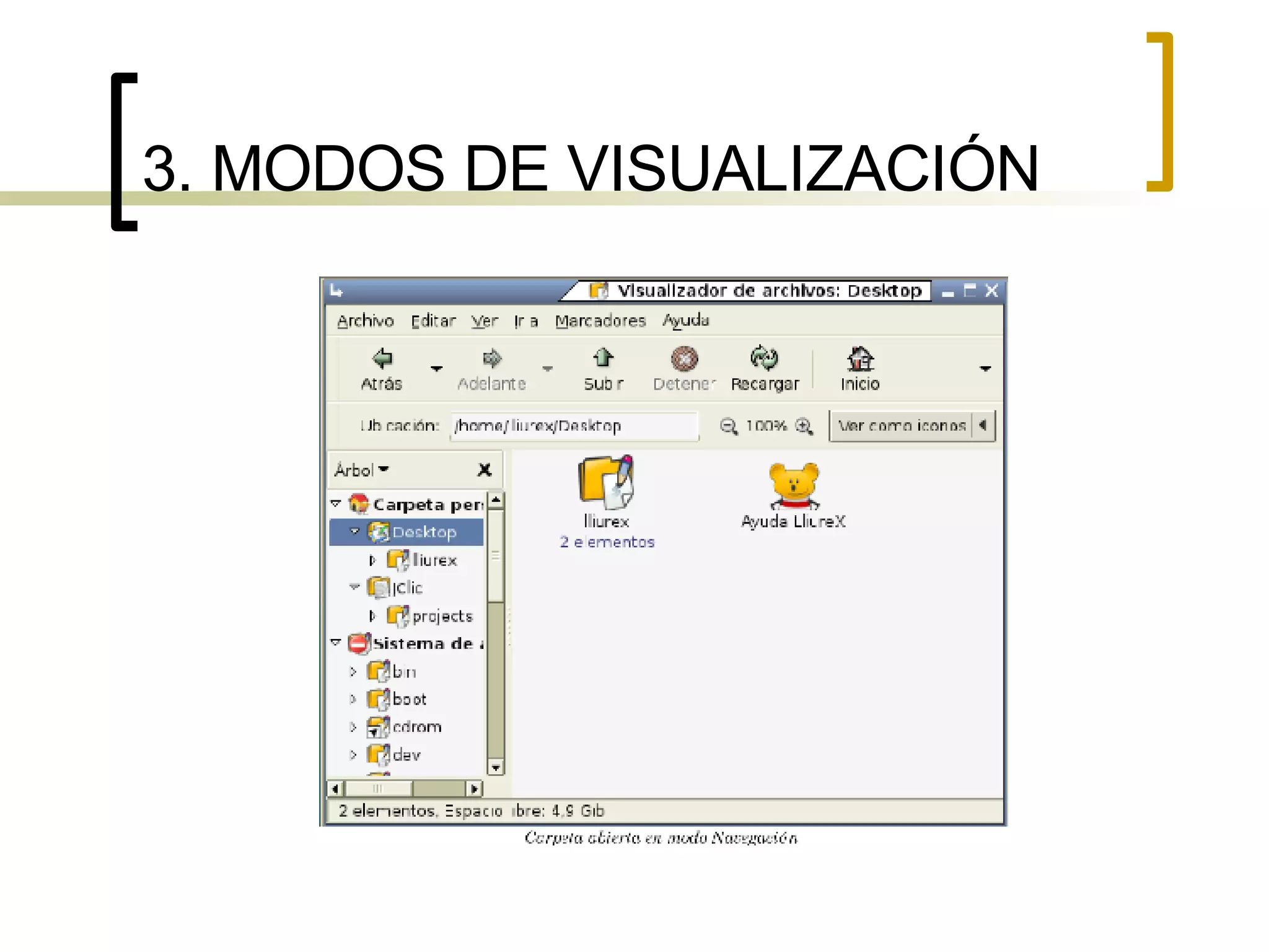 3. MODOS DE VISUALIZACIÓN 