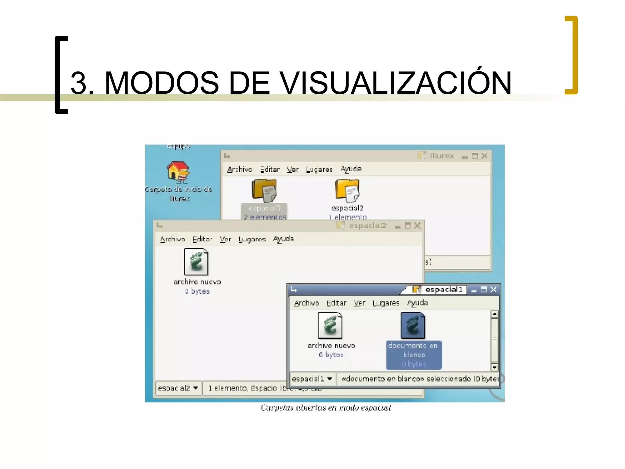 3. MODOS DE VISUALIZACIÓN 