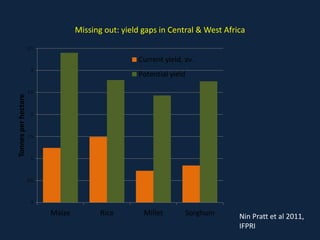Missing out: yield gaps in Central & West Africa
0
0.5
1
1.5
2
2.5
3
3.5
Maize Rice Millet Sorghum
Tonnesperhectare
Curren...