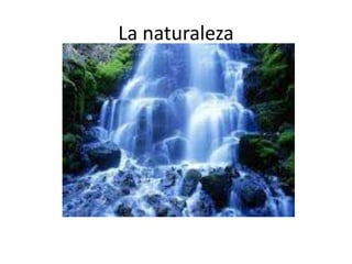 La naturaleza
 