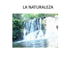 LA NATURALEZA
 