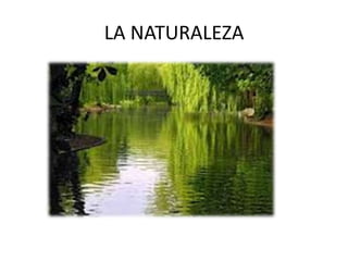 LA NATURALEZA
 