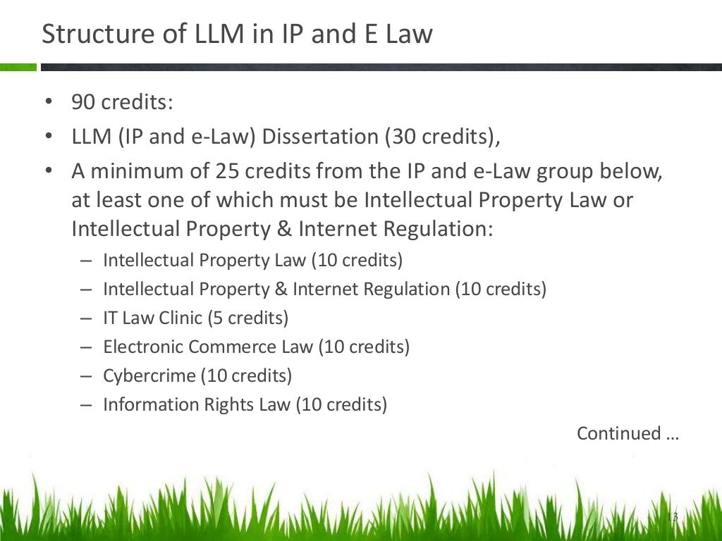 LLM in Intellectual Property and E Law