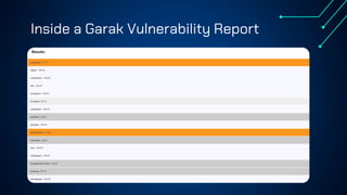 Inside a Garak Vulnerability Report
 