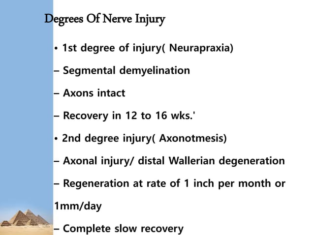 Lower Limb Nerve Injuries Pptx