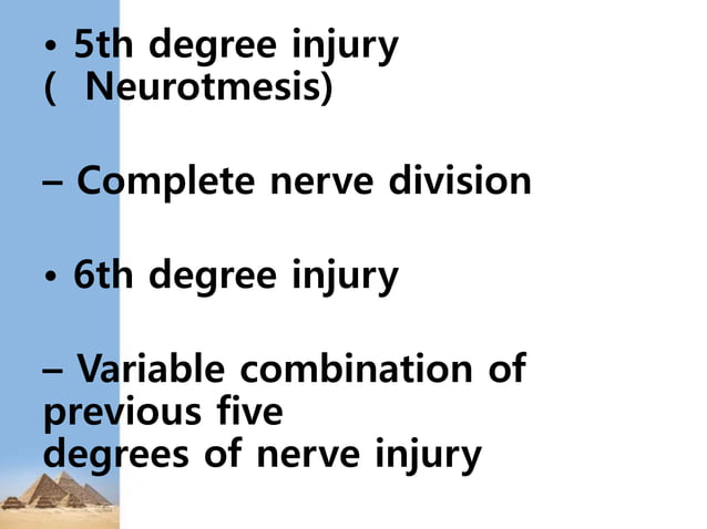 Lower Limb Nerve Injuries Pptx