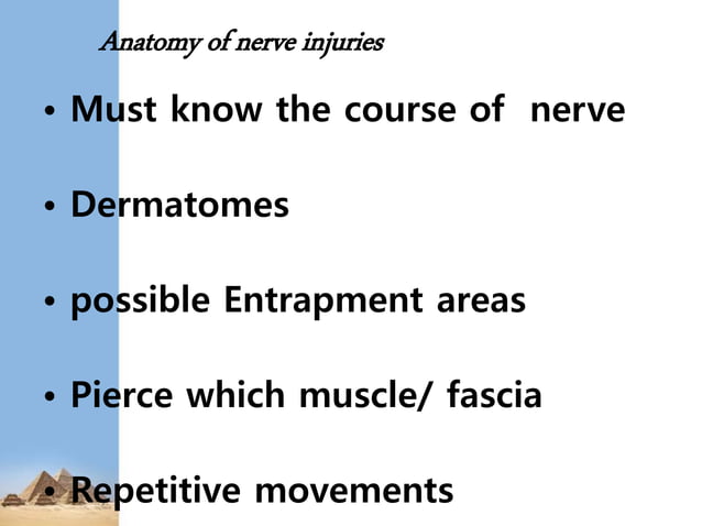 Lower Limb Nerve Injuries Pptx