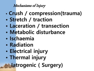 Mechanisms of Injury
• Crush / compression(trauma)
• Stretch / traction
• Laceration / transection
• Metabolic disturbance
• Ischaemia
• Radiation
• Electrical injury
• Thermal injury
Iatrogenic ( Surgery)
 