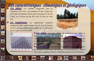 Les caractéristiques climatiques et géologiques
Les vents: Les vents d’hiver du nord-ouest sont froids et
relativement humides, les vents d’été du nord-est sont forts et
chauds, le vent violent (16m/s et plus) souffle environ 20 jours par
an. Des vents violents soufflent du sud-est, surtout en mars, avril et
mai.
La géologie: Le plateau crétacé est formé par des calcaires durs
du turonien. Il est raviné tous sens par l’érosion fluviale et sillonné
d’un réseau complexe d’oueds. L'altitude moyenne est de 500 mètres
15
 Les pluies: Les extrêmes enregistrées sont au
maximum 120,5 mm et au minimum 18 mm. Il faut une
forte pluie de plusieurs heures pour provoquer la crue de
l’oued, ceci n’arrive qu’une fois tous les deux ou trois
ans.
 La température: Les températures moyennes
enregistrées sont respectivement pour le mois de Janvier
de 10°c avec une amplitude journalière de 12° environ et
de 37°c pour le mois de juillet.
 