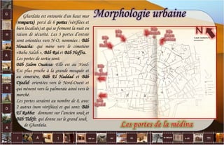 Ghardaïa est entourée d'un haut mur
(remparts) percé de 6 portes (vérifiées et
bien localisés) et qui se ferment la nuit en
raison de sécurité. Les 3 portes d’entrée
sont orientées vers N-O, nommées : Bâb
Houacha: qui mène vers le cimetière
«Baba Salah », Bâb Rai et Bâb Hoffra.
Les portes de sortie sont:
Bâb Salem Ouaissa: Elle est au Nord-
Est plus proche à la grande mosquée et
au cimetière, Bâb El Haddad et Bâb
Djadid: orientées vers le Nord-Ouest et
qui mènent vers la palmeraie ainsi vers le
marché.
Les portes seraient au nombre de 8, avec
2 autres (non vérifiées) et qui sont: Bâb
El Rahba: donnant sur l’ancien souk et
Bâb Tidéft: qui donne sur le grand souk
de Ghardaïa.
Morphologie urbaine
N
20
 