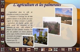 G
H
A
R
D
A
I A est un oui Où a dit
la
nature
non.
:
L'agriculture dans la ville de
Ghardaia est restée à ce jour faible.
L’entretien et l’arrosage des 60 000
palmiers dattiers et des jardins des oasis
exigent un labeur constant et pénible.
L’agriculture ne fournit qu’une très
faible partie des ressources et les
habitants de cette ville achètent la
plupart de leurs denrées vivrières. En
plus des palmiers en trouve plusieurs
autres types d’arbres fruitiers tel que les
citronniers, les orangers …..
Mais ils ne suffisent
toujours pas a la
consommation locale.
L’agriculture et les palmeraies
69
 