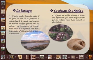 Le barrage:
• Il sert à stocker l’eau des pluies, il
est placé au sein de la palmeraie et
retient l’eau de la crue du oued assurant
un meilleur stockage puisque sous les
palmiers la température est toujours
moins élevée et les rayons du soleil moins
forts (moins d’infiltration) alors moins
d’évaporation.
Le réseau de « Segia »
• Il permet un meilleur drainage et assure
une répartition égale entre chaque culture
par des partages précis d’eau, suivant un
plan incliné .
G
H
A
R
D
A
I A est un oui Où a dit
la
nature
non.
: 73
 