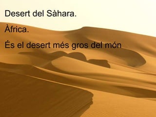 Desert del Sàhara.  Àfrica.  És el desert més gros del món 