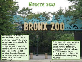 El Zoológico del Bronx se
encuentra en el Bronx de la
ciudad de Nueva York. Es una
de las mayores metrópolis del     El Zoológico del Bronx es parte
mundo, parques                    de un sistema integrado de
zoológicos , con más de 600       cuatro parques zoológicos y
especies de todo el mundo. El     acuarios uno administrado por
zoológico cuenta con 265          la Wildlife Conservation
acres de tierras del parque y     Society, y está acreditado por
de los hábitats naturalistas, a   la Asociación de Zoológicos y
través de la cual el río          Acuarios.
Bronx fluye.
 