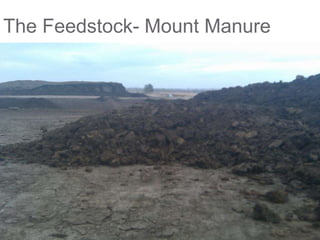 The Feedstock- Mount Manure
 