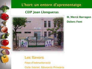 L’hort: un entorn d’aprenentatge
 CEIP Joan Llongueras
                                    M. Mercè Barragan
                                    Dolors Font




 Les llavors
 Fase d’estructuració
 Cicle Inicial. Educació Primària
 