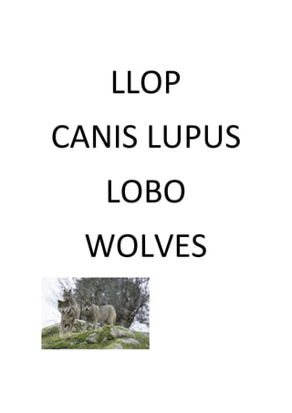 LLOP 
CANIS LUPUS 
LOBO 
WOLVES 
 