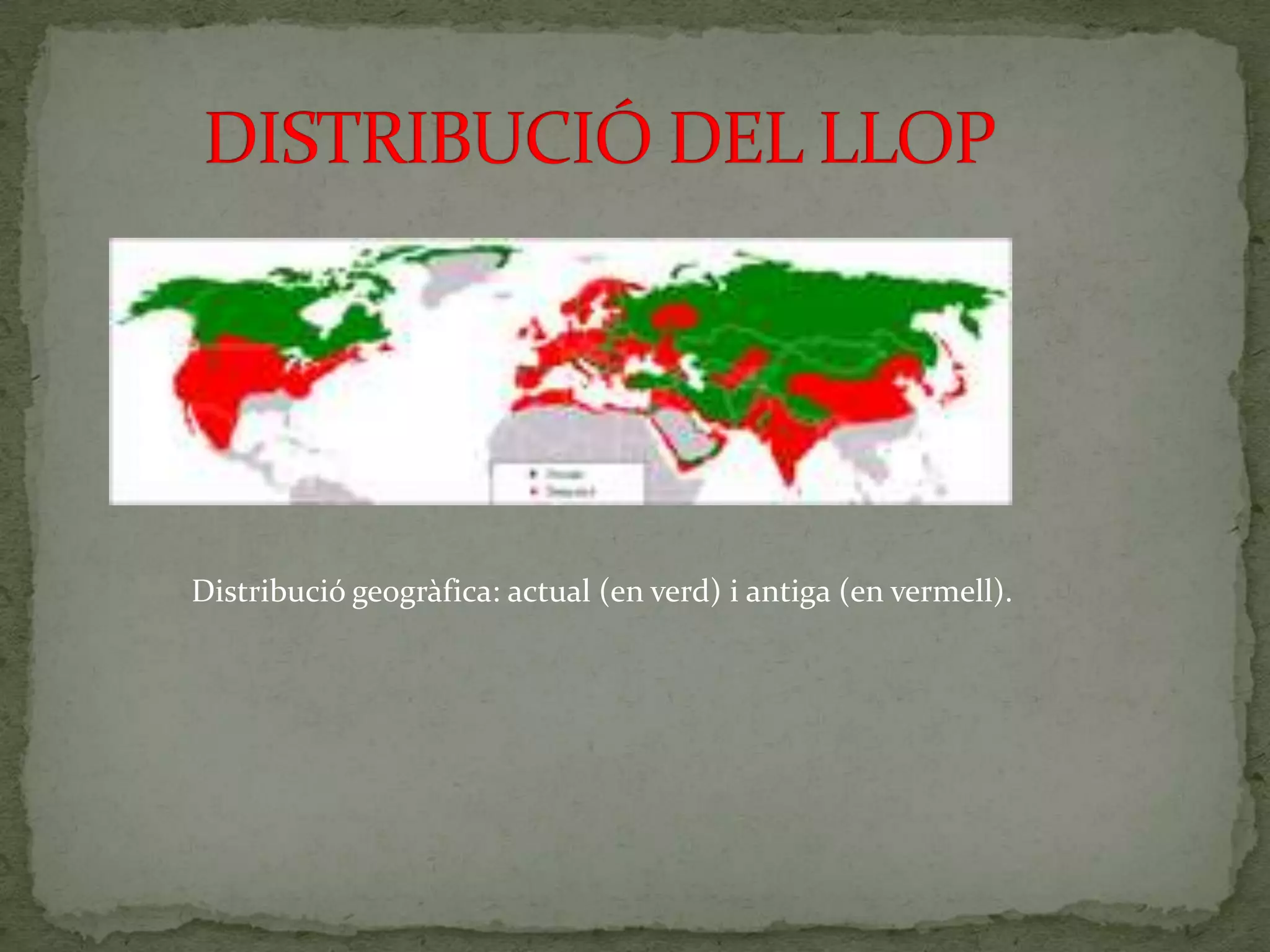 Distribució geogràfica: actual (en verd) i antiga (en vermell).
 