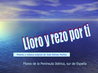 Lloro y rezo por ti Poema y música original de José Gómez Muñoz Flores de la Península Ibérica, sur de España 