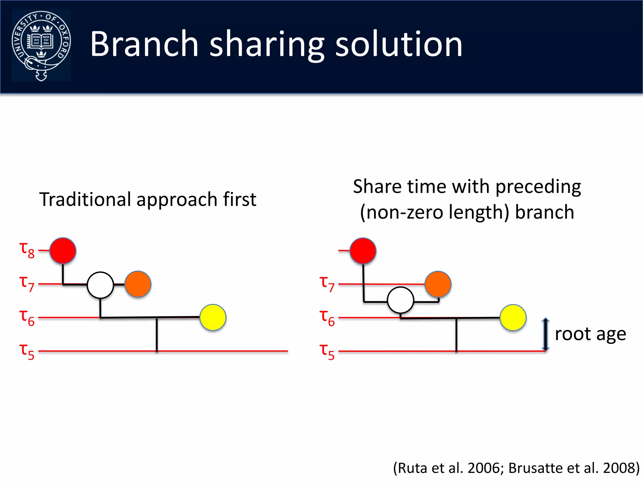 Branch sharing solution


                                       Share time with preceding
     Traditional approach first
                                        (non-zero length) branch
τ8
τ7                                τ7
τ6                                τ6
                                                                     root age
τ5                                τ5




                                           (Ruta et al. 2006; Brusatte et al. 2008)
 