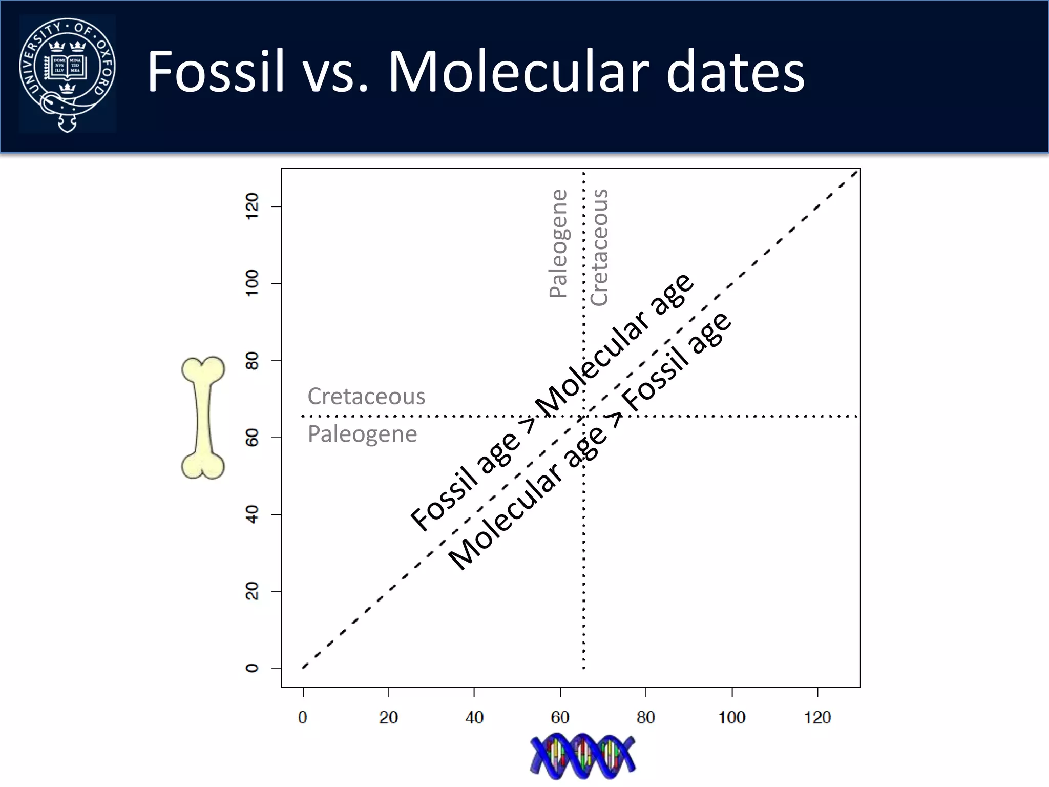 Fossil vs. Molecular dates




                               Cretaceous
                   Paleogene
      Cretaceous
      Paleogene
 