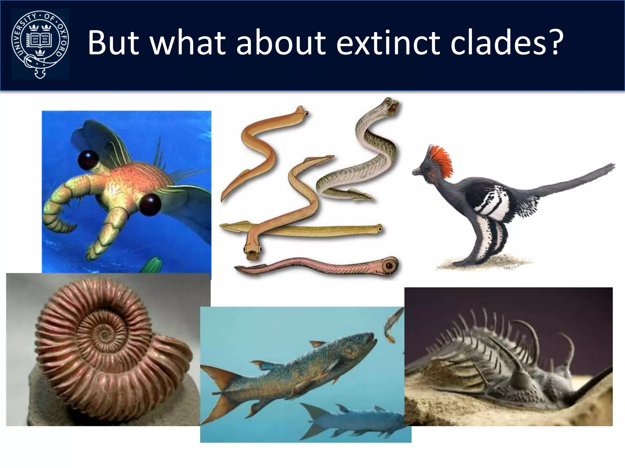 But what about extinct clades?
 