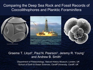Comparing the Deep Sea Rock and Fossil Records of
   Coccolithophores and Planktic Foraminifera




  Graeme T. Lloyd1, Paul N. Pearson2, Jeremy R. Young1
                 and Andrew B. Smith1
       1
        Department of Palaeontology, Natural History Museum, London, UK
        2
         School of Earth & Ocean Sciences, Cardiff University, Cardiff, UK
 