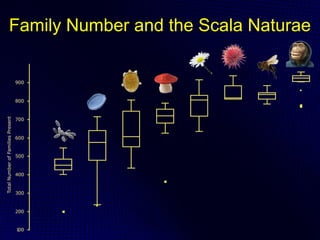 Family Number and the Scala Naturae
 