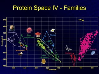 Protein Space IV - Families
 