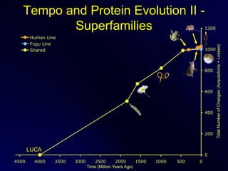 Tempo and Protein Evolution II -
       Superfamilies




LUCA
 