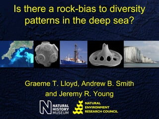 Is there a rock-bias to diversity
   patterns in the deep sea?




  Graeme T. Lloyd, Andrew B. Smith
       and Jeremy R. Young
 