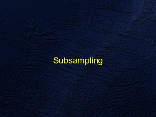 Subsampling
 