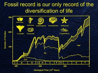 Fossil record is our only record of the
         diversification of life
 
