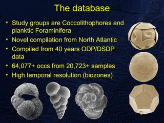 The database
• Study groups are Coccolithophores and
  planktic Foraminifera
• Novel compilation from North Atlantic
• Compiled from 40 years ODP/DSDP
  data
• 64,077+ occs from 20,723+ samples
• High temporal resolution (biozones)
 