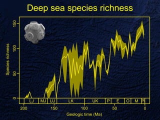 Deep sea species richness
 