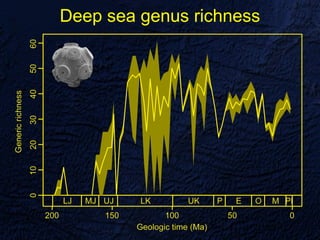 Deep sea genus richness
 