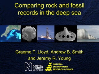 Comparing rock and fossil
 records in the deep sea




Graeme T. Lloyd, Andrew B. Smith
     and Jeremy R. Young
 