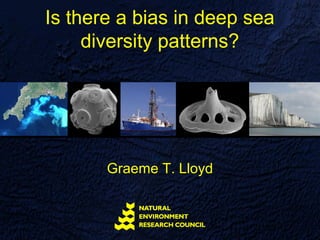 Is there a bias in deep sea
     diversity patterns?




       Graeme T. Lloyd
 