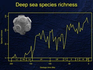 Deep sea species richness
 