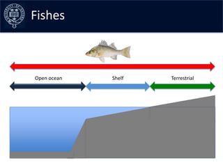 Fishes the data –early curves
Collating



 Open ocean    Shelf     Terrestrial
 
