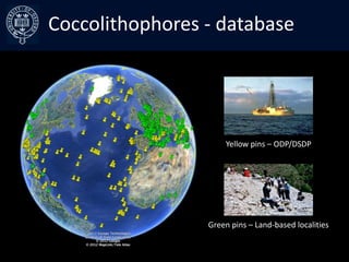 Coccolithophores–early curves
Collating the data - database




                      Yellow pins – ODP/DSDP




         ...
