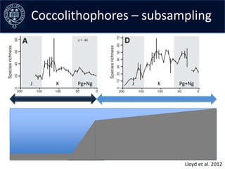 Coccolithophores–early curves
Collating the data – subsampling



 J   K   Pg+Ng    J   K   Pg+Ng




                    ...