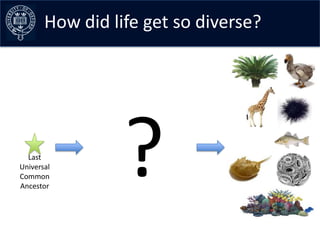 How did life get so diverse?




  Last
Universal
Common
Ancestor
                 ?
 