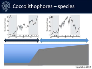 Coccolithophores–early curves
Collating the data – species




                           Lloyd et al. 2012
 