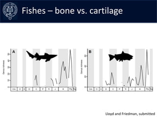 Fishes – the data –early curves
Collating bone vs. cartilage




                       Lloyd and Friedman, submitted
 