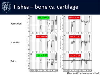 Fishes – the data –early curves
Collating bone vs. cartilage
              rho = 0.83    rho = 0.44

Formations




      ...
