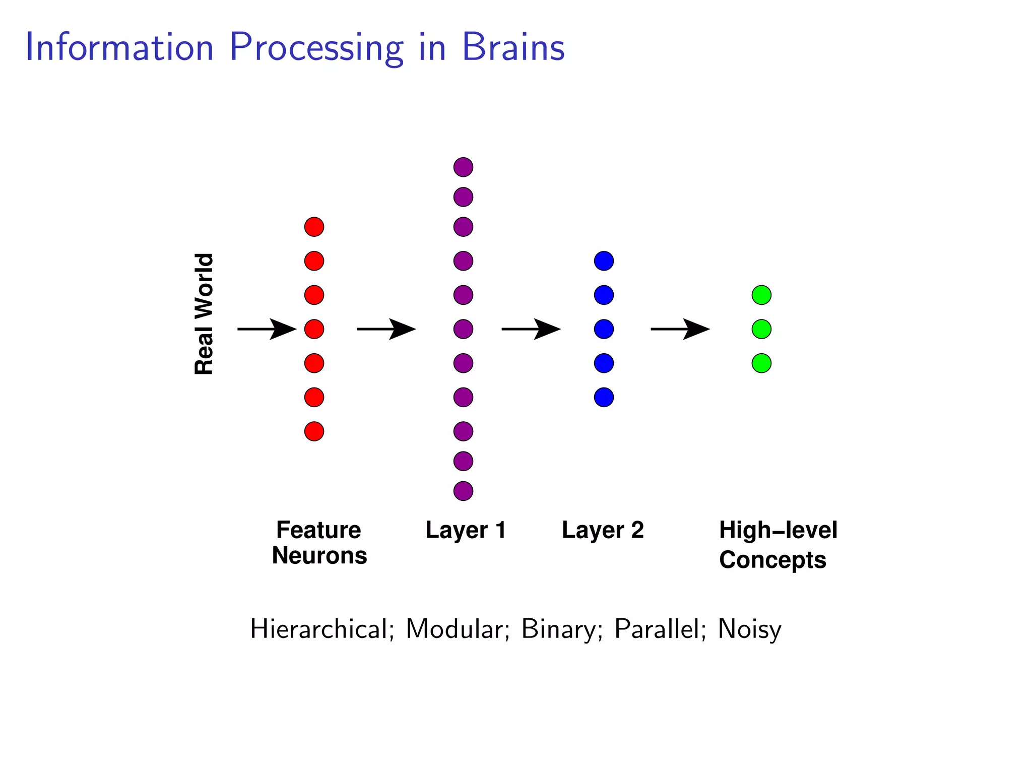 Information Processing in Brains
Neurons
RealWorld
Layer 1 Layer 2 High−level
Concepts
Feature
Hierarchical; Modular; Binary; Parallel; Noisy
 