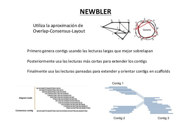 newbler assembler