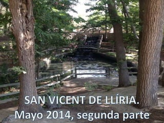 Excursión a Sant Vicent de Llíria, segunda parte.
