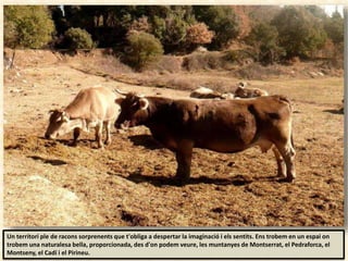 Un territori ple de racons sorprenents que t'obliga a despertar la imaginació i els sentits. Ens trobem en un espai on
trobem una naturalesa bella, proporcionada, des d'on podem veure, les muntanyes de Montserrat, el Pedraforca, el
Montseny, el Cadí i el Pirineu.
 